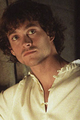 Colonel the Hon. Robert Fitzgerald, son to Lord Rotherham